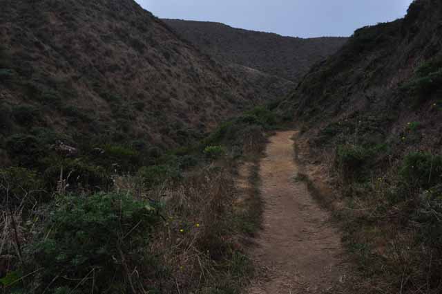 McClure's Beach Trail